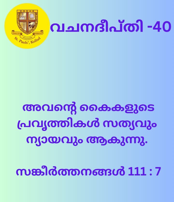 vdv41